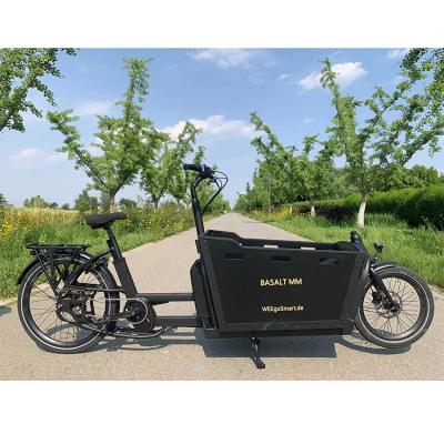 China Front Cabin Two Wheel Luxury Heavy Duty Electric Carry Kids Family Cargo Bike Price for sale