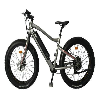 China 2021 Aluminum Alloy Fat Tire Mountain 48V 500W 26