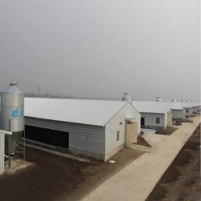 China Poultry Farm Broiler House Low Cost Environmental Control Industrial Shed Designs Steel Chicken Poultry Shed Poultry Farm Storage / Structures Thrown House for sale