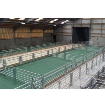 China Farms Goat Farm Design Prefab Steel Structure , Prefab Steel Goat House for sale