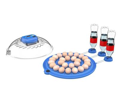 China Cultivates 8 Pcs TONGDA Automatic Mini Chicken Egg Incubator for sale