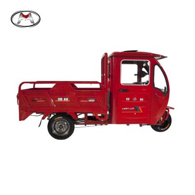 China Cargo China Factory Supply Freight Vehicle with Electric Farm Use Mini Truck/Tricycle/Family Cargo Vehicle with Trolley Van for sale