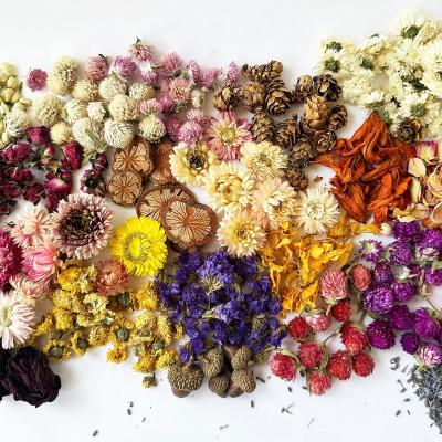 China Fashional wholesale bulk dry flowers for resin. 40 Variety for Choose.Suitable Soaps, Candles, Aromatherapy for sale