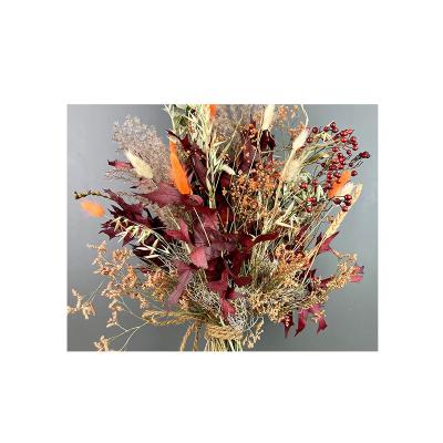 China Hot Natural Home Guest Gifts Wedding Centerpieces Boho Store Decoration Wedding Plants Arrangements Bouquet Dry Flowers Pampas Grass for sale