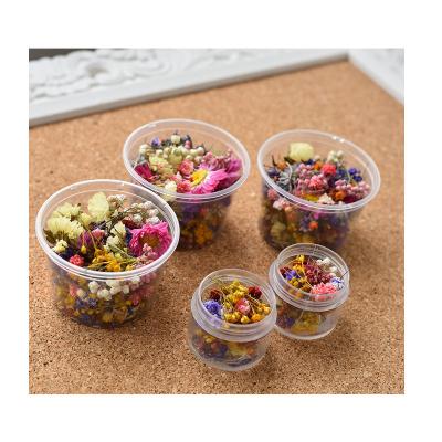 China Wedding Party Home Store Decoration Dried Tiny Flowers For Resin Jewelry Nail Decoration Material Wholesales DIY Dried Flower for sale