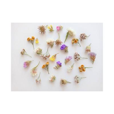 China Store Decoration Home Box Wedding Flower Tiny Dry Natural Mix Flowers Real Mini Bulk Flowers For Resin Art for sale