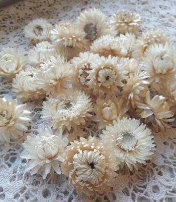 China DIY Straw Flowers Organic Dried Beige Weddings Decor Dried Flower for sale