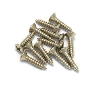 China Wood Pan Heavy Duty 316 Stainless Steel Fasteners Screw #10 X 1-1/2 for sale