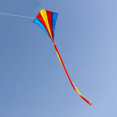 China Rainbow Diamond Shape Nylon Kite for sale