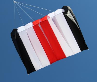 China Popular pattern nylon rainbow flying 8holes parachute kite from kite factory for sale