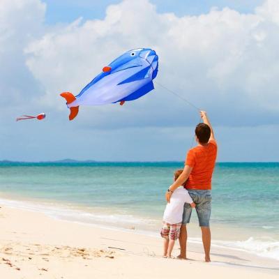 China Outdoor soft toy Chinese Hengda outdoor sports large dolphin kite with handle and string from kite factory for sale