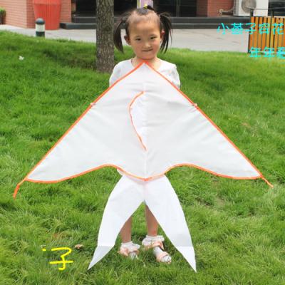 China Hot Selling DIY Toy Bird Kites New New for sale