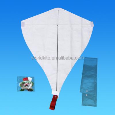 China Activity or give away diy paper kite for sale