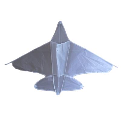 China Teaching Fish DIY Blank Flat Kite With Brush And Flying Line Wholesale Drawing for sale