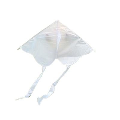 China Toy Teching Toys Cheap White DIY Drawing Kite For Kids From Factory for sale