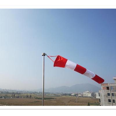 China Outdoor Toy Kite Factory OEM Flag / Nylon Fish Windsock for sale