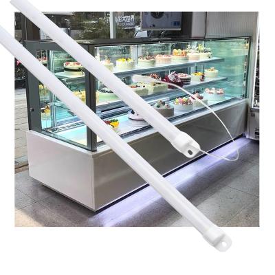 China IP64 Waterproof Refrigerated Vertical Type Led Freezer Freezer Lighting Tube Lamp Led Light for sale