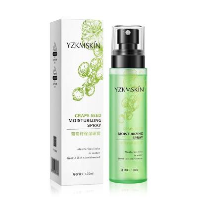 China Moisturizing Toner Spray Firming Oil Control Pore Refreshing Shrinking Cooling Toner Spray for sale