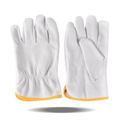 China Work / Training Hand Protection Safety Sheep Safety Leather Driving Gloves ANT5 for sale