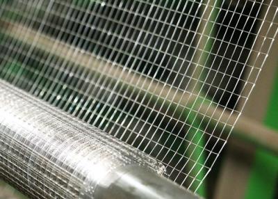 China 15m Welded Mesh Rolls Straight Edge 60cm Width 12 Gauge for sale