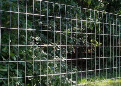 China Stainless Steel Welded Wire Mesh For Agricultural Applications zu verkaufen