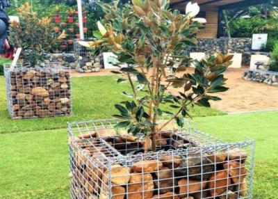 Κίνα Heavy Welded Wire Mesh Used As Decorative Gabion In Landscap Construction προς πώληση