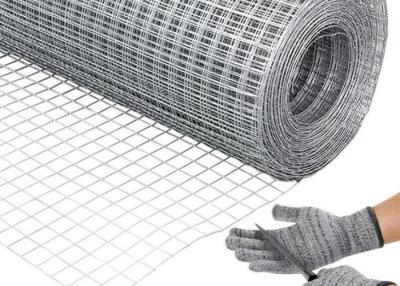 China Galvanized Welded Wire Mesh With Protective Plastic Paint Te koop