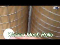 1/2‘‘x 1/2‘‘ stainless steel welded mesh rolls for breeding protection high strength