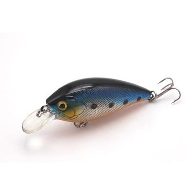 China ABS Plastic Freshwater Fishing Lure For River Wobblers Sea Fishing Lures Crankbait 60mm 10g Fishing Lures for sale