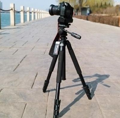 China Weifeng wf-6663a digital camera camera tripod mount photography professional portable slr bag for sale