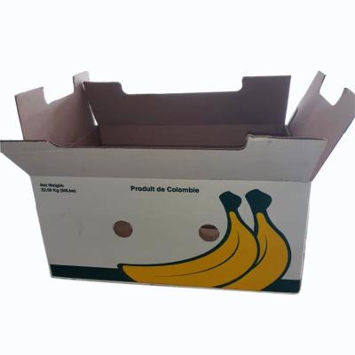 China Disposable Fruit Vegetable Apple Grape Pomegranate Onion Mango Banana Pineapple Coconut Orange Carton Box Factory for sale