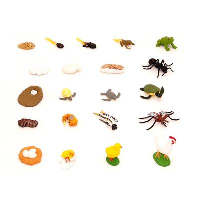 China Eco-friendly Material Hot Selling Insect Growth Cycle Educational Teaching Animal Child Toy Set for sale