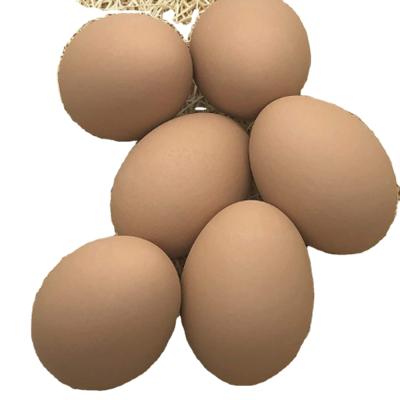 China Handmade Ceramic Easter Egg Decoration Opens Chicken Farm Simulation Ceramic Eggs for sale