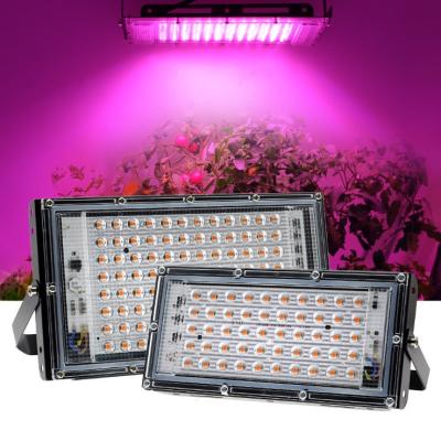 China Seed Planting Full Spectrum 220V Commercial Horticulture Hot Selling Plant Grow Lights For Indoor Plants for sale