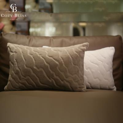 China Bliss Luxury Shearing Cushion Covers Simple Design Anti-Static Comfortable Bedroom Cushion Covers for sale