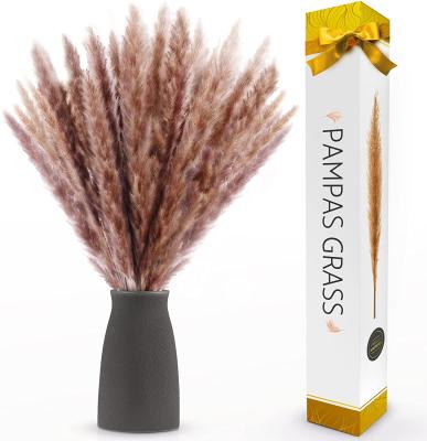 China H05492 Decoration Box Pampas 45cm Fluffy Pampas Grass Dry Preserved Small Pampas Grass For Decoration for sale