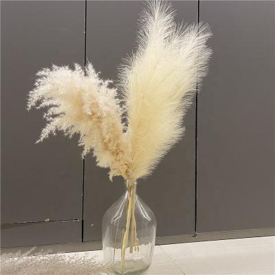 China SZ302 Celebration Pampas Grass Fake Flower Fake Pampas Grass Wholesale Artificial Dry Natural Dry Pampas Grass Amazon for sale