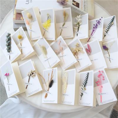 China Decor L06565 Mini Customized DIY Eternal Preserved Dried Blossom Flower Wedding Party Decorative Dried Bouquet Group Dried Card for sale