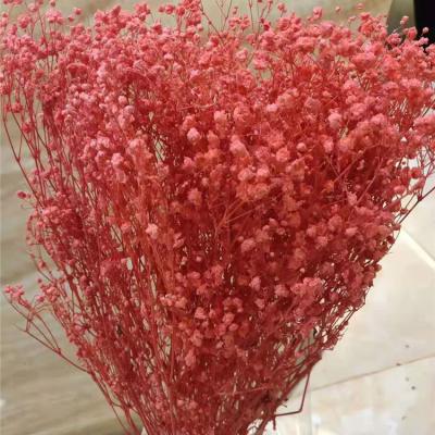 China Wholesale Decoration H05109 Wedding Decoration Home Decoration Natural Gypsophila Preserved Babysbreath Preserved Flowers for sale