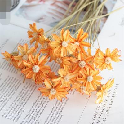 China H05116 Wholesale Dried Decoration Flowers Hibiscus Flower For DIY Garland Clip Wedding Hotel Decoration Flower Arrangement for sale