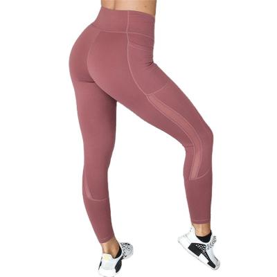 China Breathable Hot Selling Good Quality Classic Body Shaped Yoga Leggings Plus Size Women Tight Pants for sale