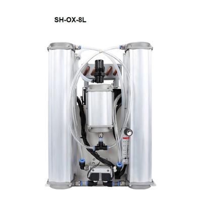 China Customizable Ozone Generator Supply High Purity Gas Generating Equipment Oxygen Air Compressor Oxygen Generator Concentrator Spare Parts for sale