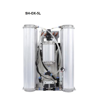 China Ozone Generator Supply Factory Price High Purity Gas Generating Equipment Oxygen Air Compressor Oxygen Generator Concentrator Spare Parts for sale