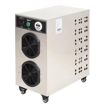 China Low energy consumtion high efficiency shipping and handling - TB30low energy air disinfection water treatment ozone generator for sale