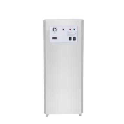 China Formaldehyde Air Purifier Portable 20g Ozone Generator China Industrial Manufacturer Commercial Use Hotel Degradation for sale