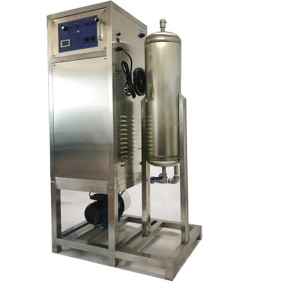 China Ozone Water Disinfection Aquatic Plant Disinfection Ozone Water Machine For Plant Breeding Oxygen Source Concentrator Ozone Generator for sale