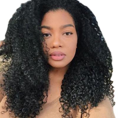 China Curly Human Hair Wigs Curl Brazilian Hair 13x4 Lace Front Wigs Kinky Curly Natural Hairline No Shedding No Tangle RUBE Hair for sale