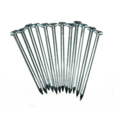 China China manufacturer low price flat galvanized common iron wire nails for sale