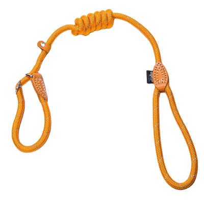 China Thoughtful Selling Success Durable Adjustable Nylon Triangle Dog Traction Rope for sale