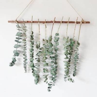 China hot selling 40/60 cm L099 Amazon DIY flower natural dry plants hanging real eucalyptus dry wall hanging for home office wall decor for sale